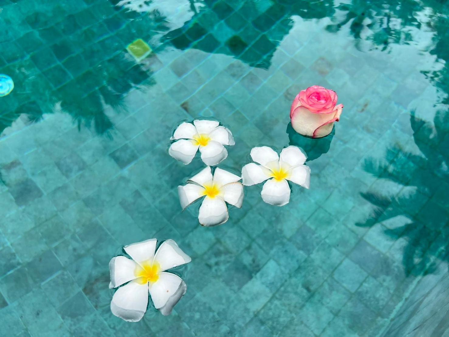 Chill Lay Resort Donsak Don Sak Zewnętrze zdjęcie